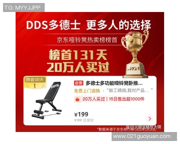 全面解析健身器材报价及选购指南助您轻松打造理想健身房