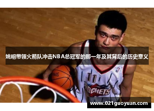 姚明带领火箭队冲击NBA总冠军的那一年及其背后的历史意义